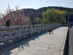 -石湖景区