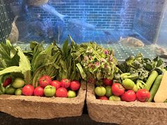 -衢农会·衢州菜·宴请(国际机场店)