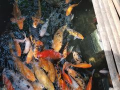 -上海大自然野生昆虫馆(东方明珠·爬宠昆虫探索中心)