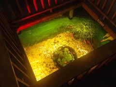 -锦上中式酒馆(南内环店)