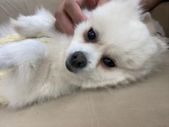 -怪兽屋·羊驼·猫咖·狗咖(俊华广场店)