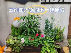 -蘑界·野生菌火锅(深业上城店)