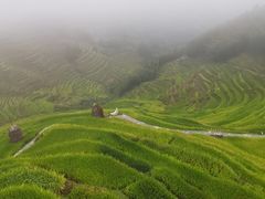 -紫鹊界梯田景区