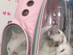-美联众合动物医院·24h京西诊疗中心