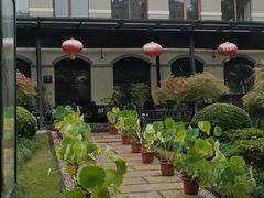 -荷风细雨·中国茶宴(碧云店)