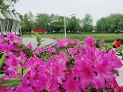 -武汉园博园(武汉自然博物馆)