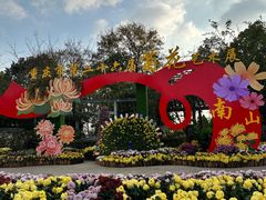 -南山植物园