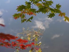 -龙道沟景区