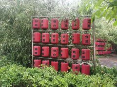 -中卫御苑福膳·养生局(圆明园店)