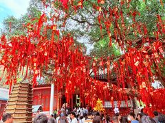 -国恩寺
