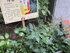 -广州神农草堂中医药博物馆