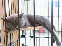 -iF摄影•全家福•证件照•形象照(南山店)