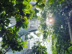 -郑州植物园