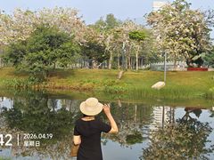 -四海公园(南山区)