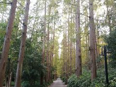 -上海怡沁园度假酒店