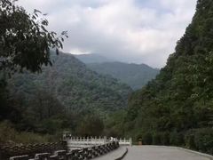 -牛背梁国家森林公园