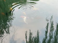-济南大明湖景区