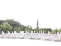 -洛阳市隋唐城遗址植物园