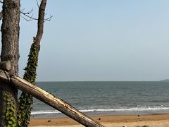 -青岛海泉湾度假区温泉