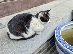 -长春观