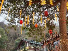 -灵顺寺
