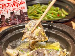 -邹开喜·炭炉鸡煲·海鲜火锅(虹口足球场店)