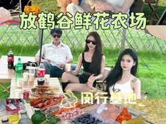 -上海山野camping·户外天幕烧烤·团建拓展营地