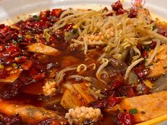 -添福来墨鱼饺子 · 海鲜东北菜(大连星海·黄浦路店)