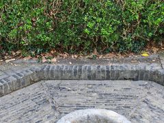 -上海佘山国家森林公园天马山园