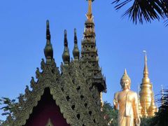 -西双版纳勐泐文化旅游区