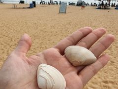 -青岛金沙滩