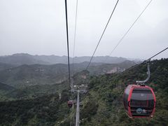 -王莽岭风景区