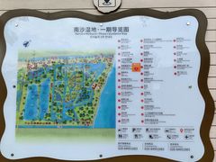 -大湾区中央湿地公园