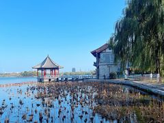 -济南大明湖景区