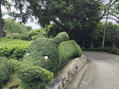 -东望洋炮台东望洋灯塔