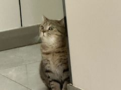 -中农国际动物医院24小时·猫科·骨科·急重症中心