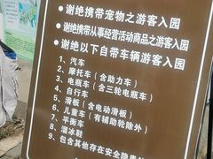 -宜兴龙背山森林公园