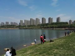 -丁香湖公园