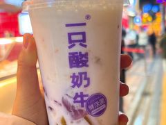 冻冻桂花酒酿酸奶-一只酸奶牛(八一路店)