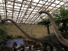 -国家自然博物馆