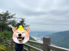 -铁山坪森林公园