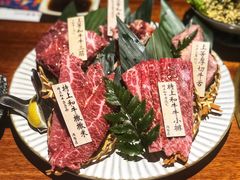 -肉魁屋·烧肉·烧鸟·酒场(高新店)