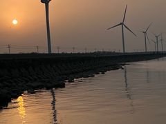 -上海长兴岛郊野公园