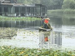 -洋湖国家湿地公园