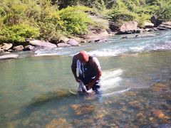 -九曲溪竹筏码头