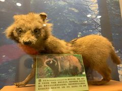 -下渚湖国家湿地公园科普馆