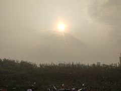 -魏家凉皮(长缨东路店)