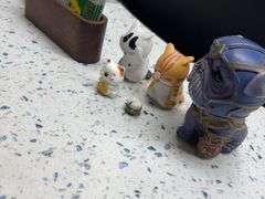 -半岛宠物医院24小时(白果林店)