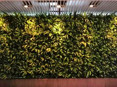 -上海外滩英迪格酒店