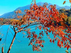 -广州市流溪河国家森林公园